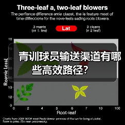 青训球员输送渠道有哪些高效路径?(图2) 青训球员输送渠道有哪些高效路径?(图2)