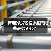 青训球员输送渠道有哪些高效路径?(图4) 青训球员输送渠道有哪些高效路径?(图4)