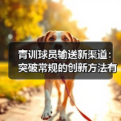 青训球员输送新渠道:突破常规的创新方法有哪些?(图3) 青训球员输送新渠道:突破常规的创新方法有哪些?(图3)