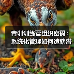 青训训练营组织密码:系统化管理如何造就潜力股?(图4) 青训训练营组织密码:系统化管理如何造就潜力股?(图4)