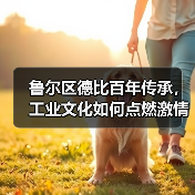 鲁尔区德比百年传承,工业文化如何点燃激情?(图2) 鲁尔区德比百年传承,工业文化如何点燃激情?(图2)