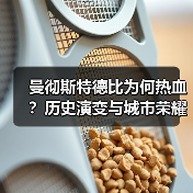 曼彻斯特德比为何热血？历史演变与城市荣耀全解析