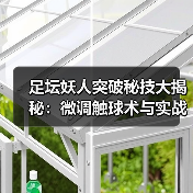 足坛妖人突破秘技大揭秘:微调触球术与实战技巧全解析(图3) 足坛妖人突破秘技大揭秘:微调触球术与实战技巧全解析(图3)
