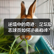 逆境中的奇迹：足坛励志球员如何逆袭巅峰？
