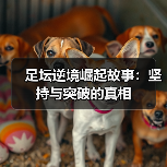 足坛逆境崛起故事:坚持与突破的真相(图2) 足坛逆境崛起故事:坚持与突破的真相(图2)