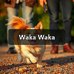 Waka Waka（图4）