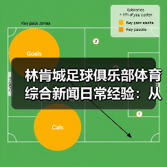 林肯城足球俱乐部体育综合新闻日常经验：从需求判断到使用维护