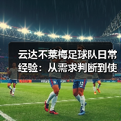 云达不莱梅足球队日常经验：从需求判断到使用维护指南（图1）